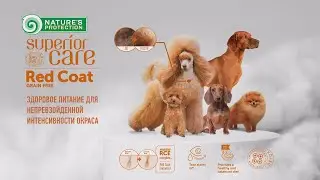 Сбалансированное питание для вашего питомца | Nature's Protection Superior Care Red Coat