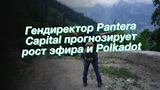 Гендиректор Pantera Capital прогнозирует рост эфира и Polkadot