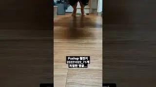 #pushupchallenge 20221022_71개