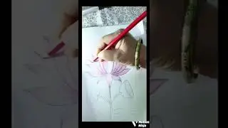 Colouring in lotus 🪷 with pencil colour #art #drawing 