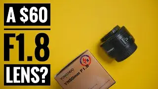 The Best Budget Beginner Lens For Canon | Yongnuo 50mm F1.8 Review