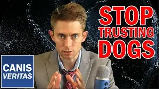 Don't Trust Dogs