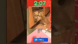 СПИДРАН ПО МИЛЫМ ВИДЕО С КОТЯТАМИ | 1 ЧАСТЬ #спидран #fypシ