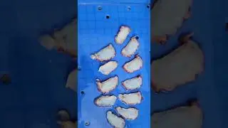 Squid leg oblique slicer