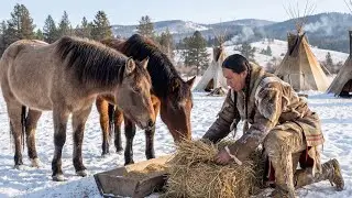 How Native Americans Protected Horses from Brutal Winter Cold