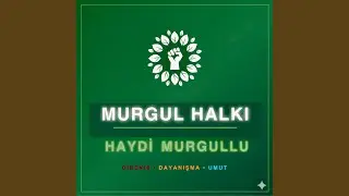 Haydi Murgullu