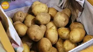 Potato Chip │ 즉석 감자칩 │ Korean Street Food