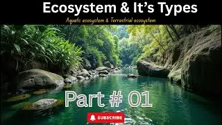 Типы экосистем: наземные и водные || Биотические и абиотические компоненты || Биология