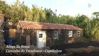 Adega da Braça à venda 2020Ilha do Faial Açores «925848468»