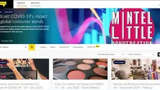 Mintel