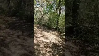 River Loop Trail at Fort Parker State Park #shorts #mexia #texas #hiking #trails