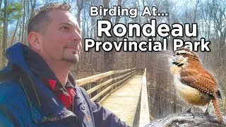 Birding at Rondeau Provincial Park