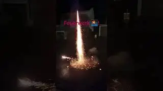 1 января 2024 г.