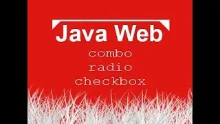 Aula de Java Web 005 - JSP, Formulário com combo, radio e checkbox.