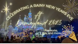 New Years Eve at Disneyland in the rain 2025