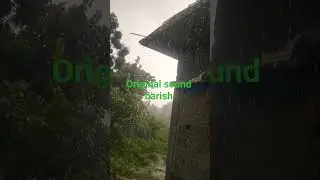 #original #sound #barish #tending