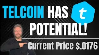 Telcoin (TEL) - This Cryptocurrency Payment Service has a lot of Potential + Price Prediction!