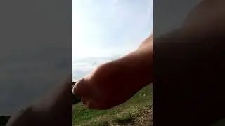 Stinky smelly sweaty nylons