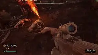 ☢ Стрім ☢ Stalker 2 ☢