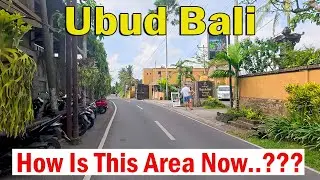 How Is This Area In Ubud Now..?? Lets Enjoy Driving Tour before You Visit This Area..!!