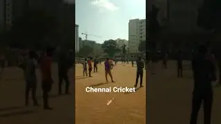 Chennai saidapet cricket