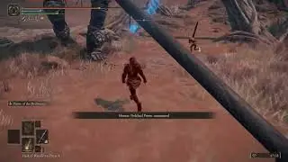 Elden Ring PvP - Lvl 40 Parry Build Invasions