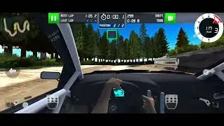 Rally racer Dirt - Multiplayer random forest