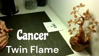 Cancer ♋ Twin Flame 💞 DM to DF: What They&rsquo;re Hiding, Feeling & Thinking | Love Tarot Reading