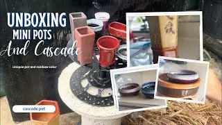 Unboxing Mini Pots | Pot Cascade | Pot Ketshitsubo | Pot Mame