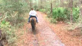 Riding at Tidewater in Goethe State Forest, FL