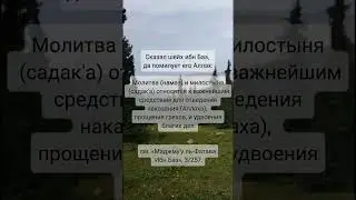 Мудрые слова шарият #шарият #исламнұр #исламскаяинформация #wordsofwisdom