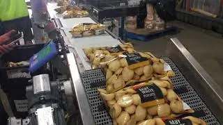 Food Automation presents InnoTech REVO 'S'  VFFS packing 1-2 kg potatoes high speed