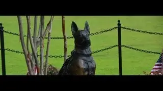 SOF K9 Memorial Dedication Ceremony, Airborne & Special Operations via Brevard video crew