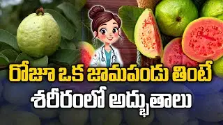 రోజూ ఒక జామకాయ తింటే..శరీరంలో అద్భుతాలు | Health Benefits Of Eating Guava Everyday