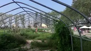 Red Hook Community Farm, Brooklyn, New York (9-16-17)