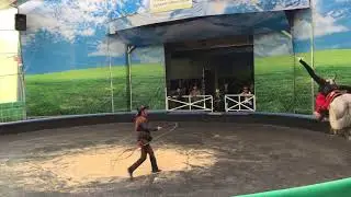Qingjing Sheep Farm  Horse Show performed by Russian preformer