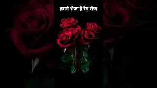 Rose Day Par Shayari | Rose Day Shayari | Rose Day Status | Happy Rose Day WhatsApp Status Video