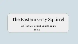 The Eastern Gray Squirrel - (Honors Biology Final)