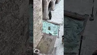 Scary Medieval Creature IRL #medieval #creature #monster #castle #corvin #cats #scary #romania