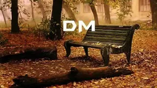 Alex Skrindo - Jumbo // DogeMusic