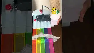 Marble Run Race ☆ 5-color racing course Fun #3