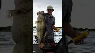 Download the Fish Ai app in the app store! #fishing #bassfishing #fishboat #fish #app #fishaiapp