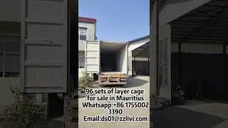 96 sets of layer cages in Mauritius#chicken #cage #chickeneggs #layerchicken #poultryequipments