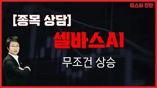 조금 시간이 걸리겠지만 이 종목 무조건 상승합니다 / 셀바스AI(108860) [이종복 전문가_미스터 진단]