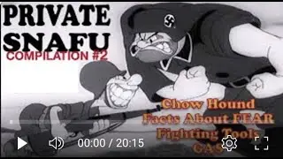Private SNAFU Compilation #2  | World War 2 Army cartoons