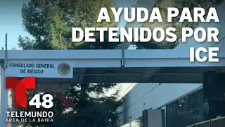 Consulado de M&eacute;xico en San Jos&eacute; ofrece ayuda a mexicanos detenidos por agentes federales