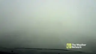 Driver narrowly avoids whiteout pile-up at last second