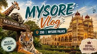 A day in MYSORE || Trip from Bangalore || Mysore Palace || Mysore Zoo || PRiyAM Vlogs