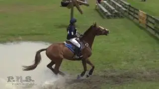 Adriana Beruvides & Consensus Ocala International April 2017