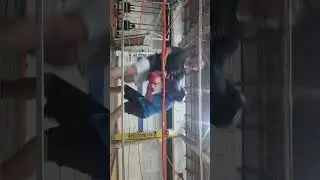 sparring pantera
